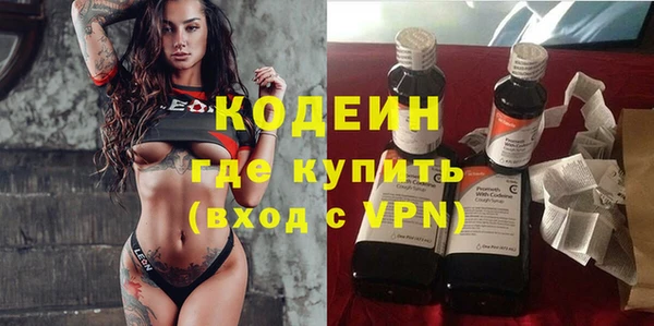индика Мещовск