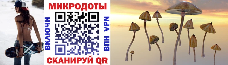 Псилоцибиновые грибы MAGIC MUSHROOMS  купить наркоту  Луза 